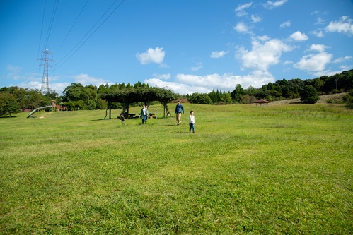 広い