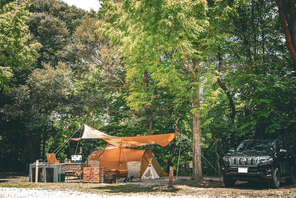 キャンプ場