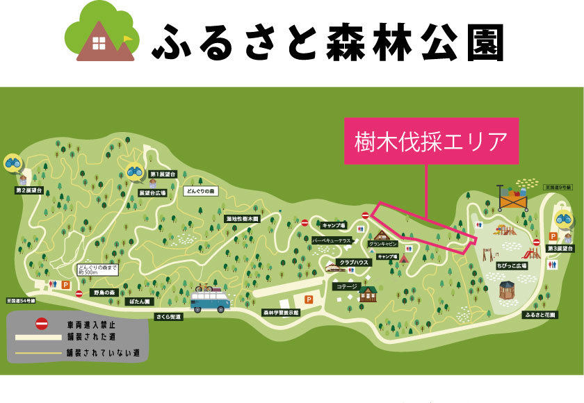 伐採エリア